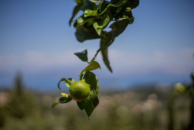 Home img 4771 – μέτρια